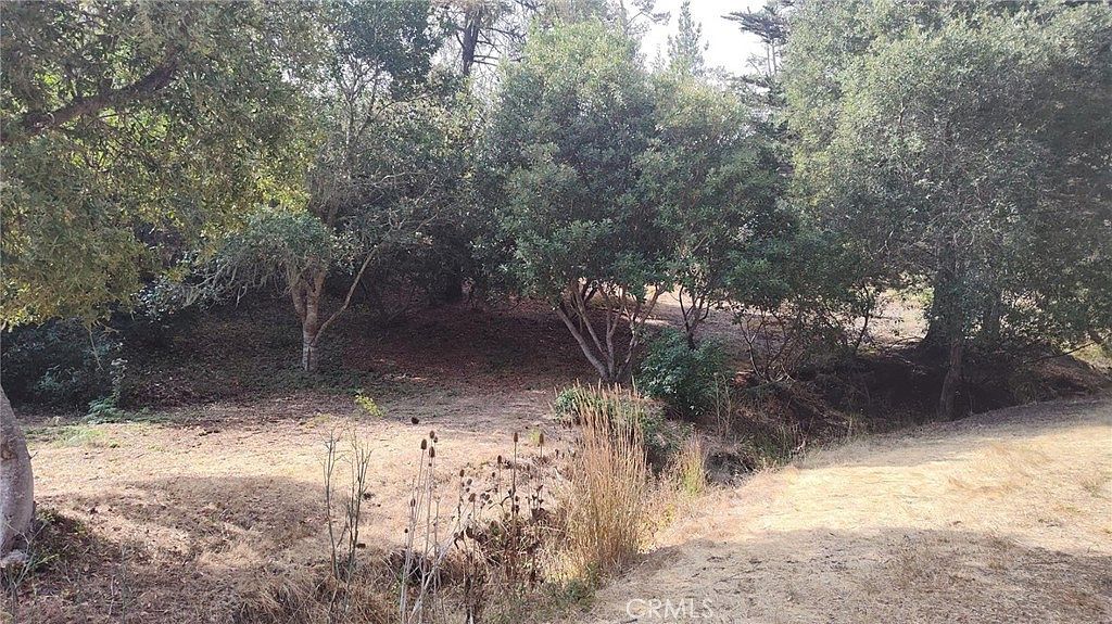 3236 Gleason St Cambria, CA 93428 | Land/Lot