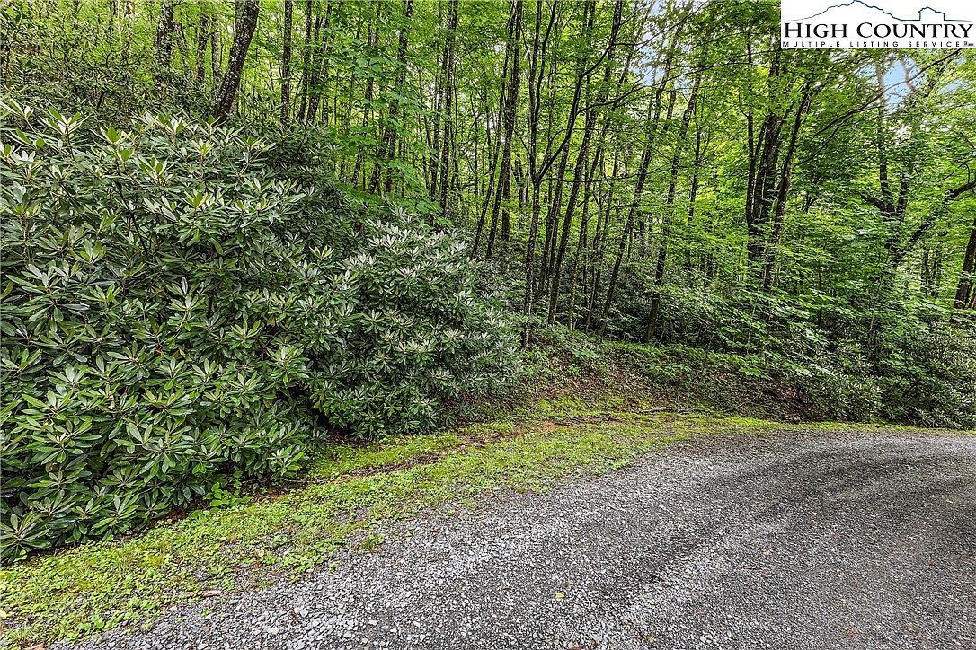 Jewel Weed Ln Blowing Rock, NC 28605  | Land/Lot