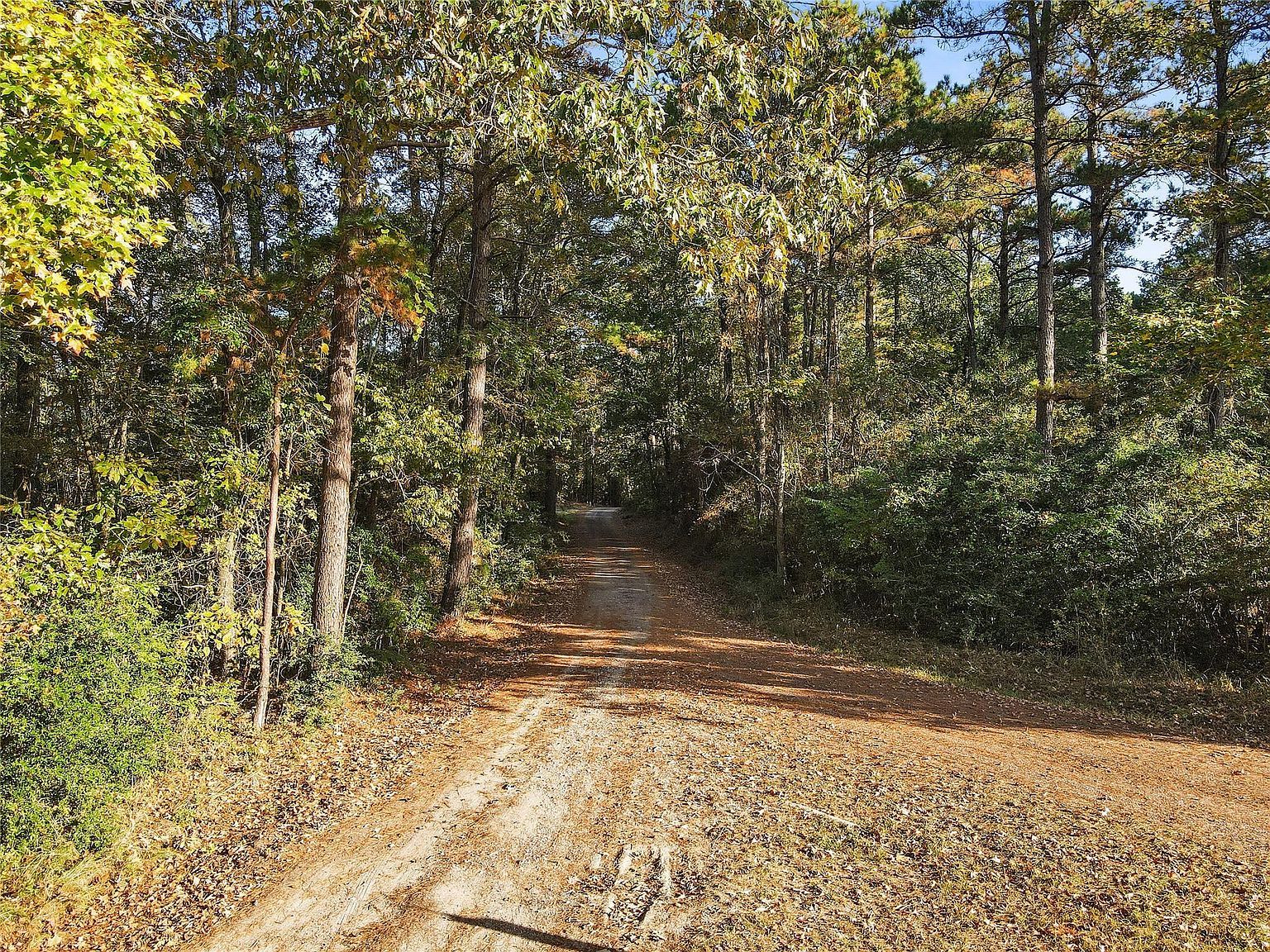 Jordan Rd Pointblank, TX 77364 | Land/Lot