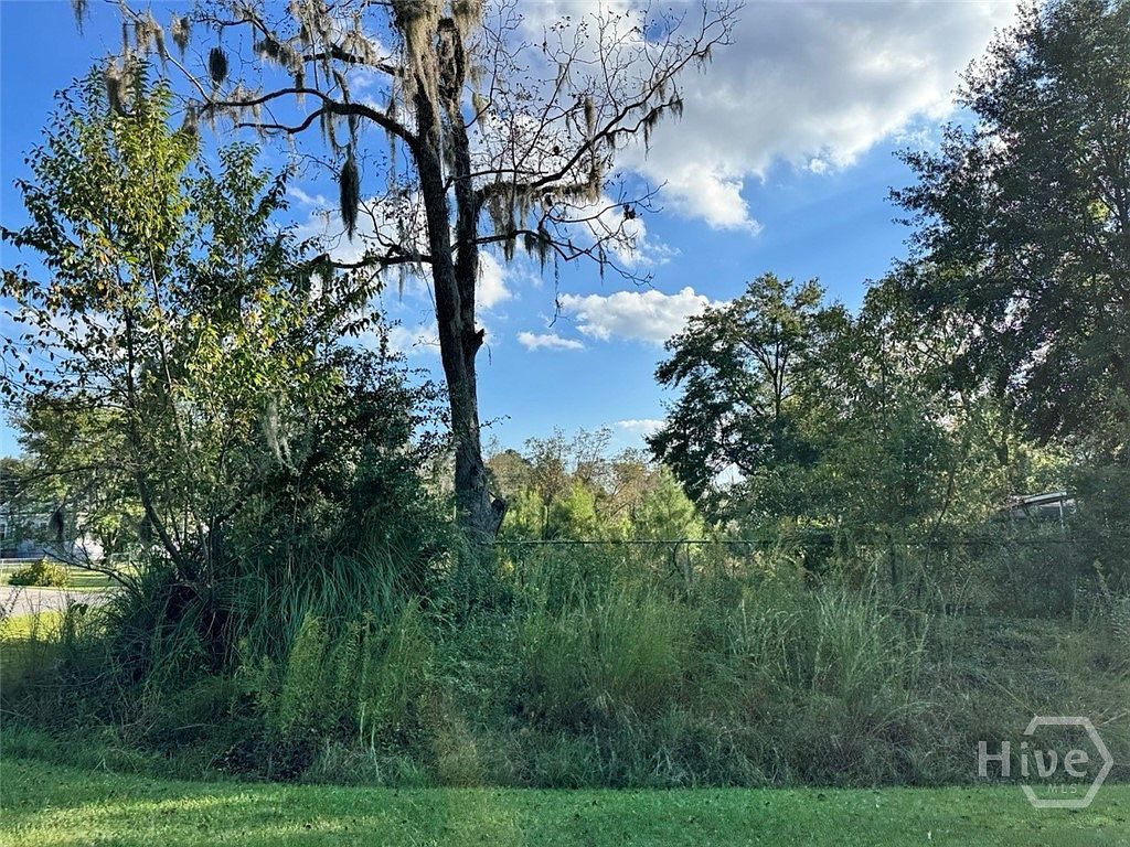 251 Oak Dr Bloomingdale, GA 31302  | Land/Lot