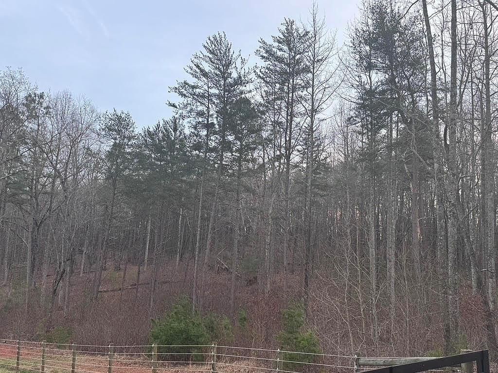 202 Emma Ter Dawsonville, GA 30534 | Land/Lot