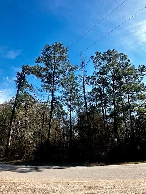 N/a Robinhood Ct/robinhood Ln Lot 2 Hockley, TX 77447  | Land/Lot