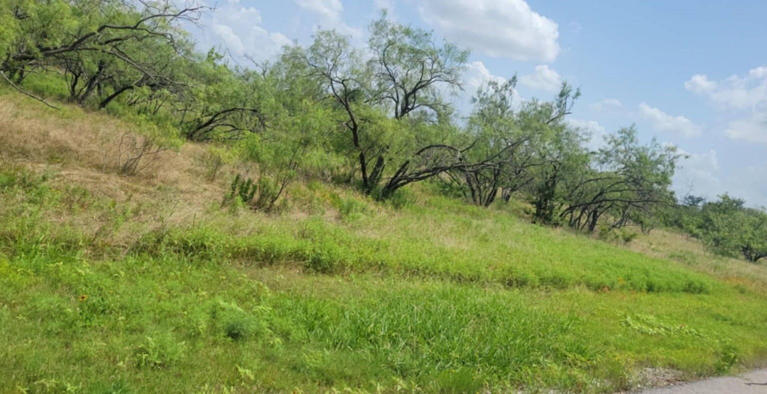 LOT 118 Palmito Ranch Rd Corsicana, TX 75110 | Land/Lot
