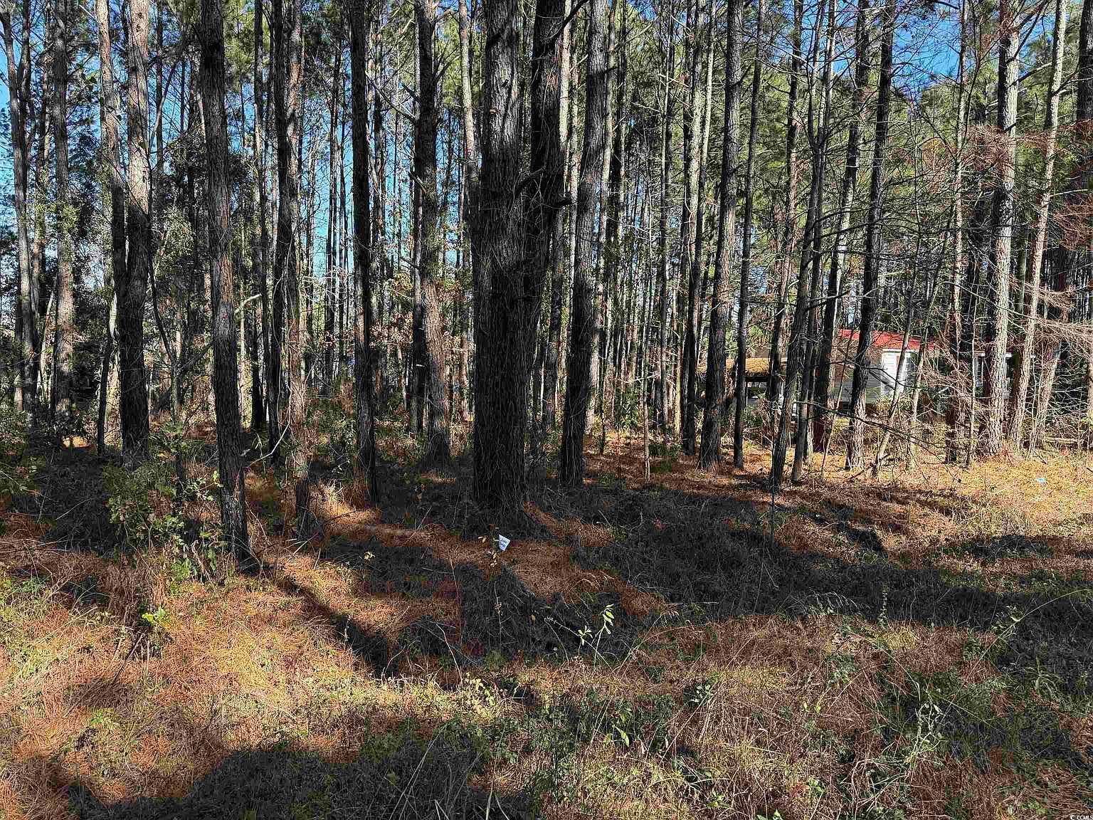 7 Orange Blossom St Andrews, SC 29510 | Land/Lot