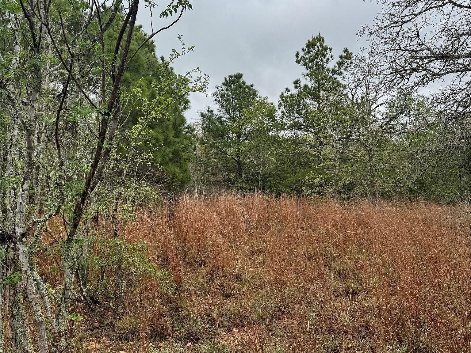 118 Laguna Smithville, TX 78957  | Land/Lot