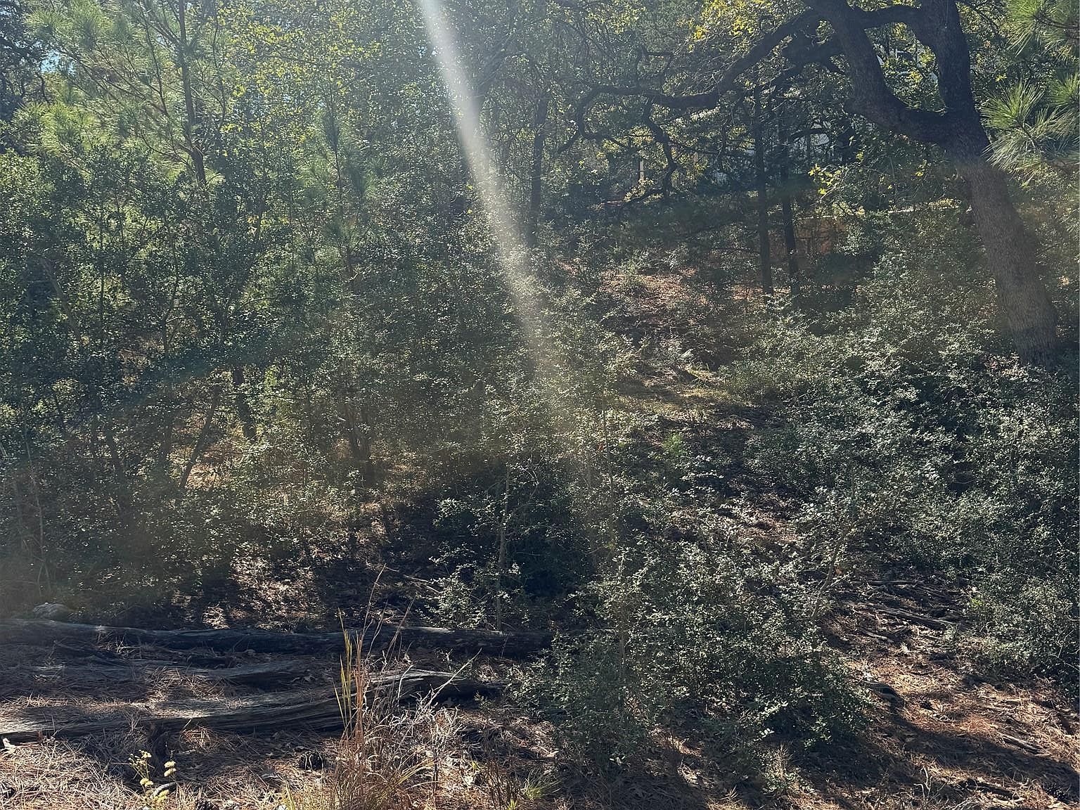 97 Kaelepulu Dr Bastrop, TX 78602  | Land/Lot