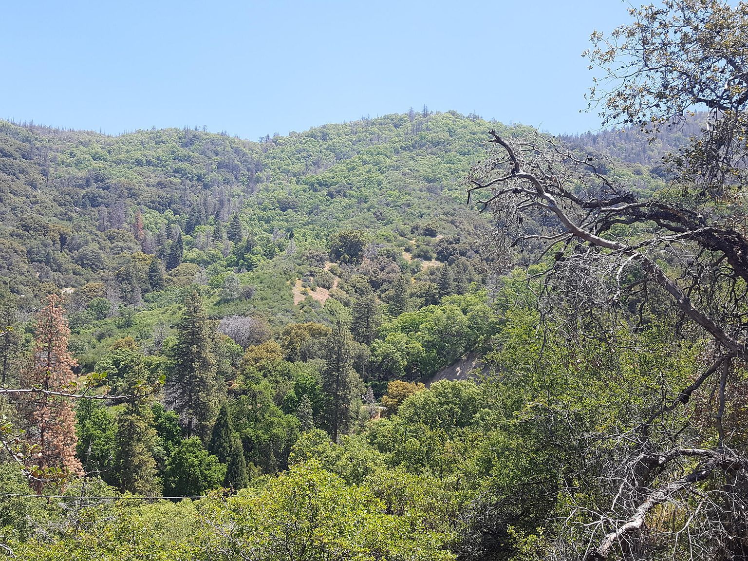 LOT 24 Rocking K Dr California Hot Springs, CA 93207  | Land/Lot