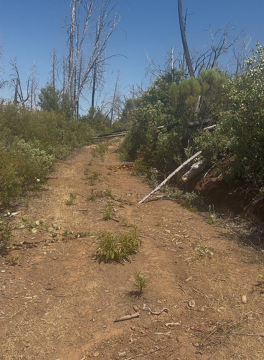 17074 Betty Kaye Ln Mountain Ranch, CA 95246 | Land/Lot