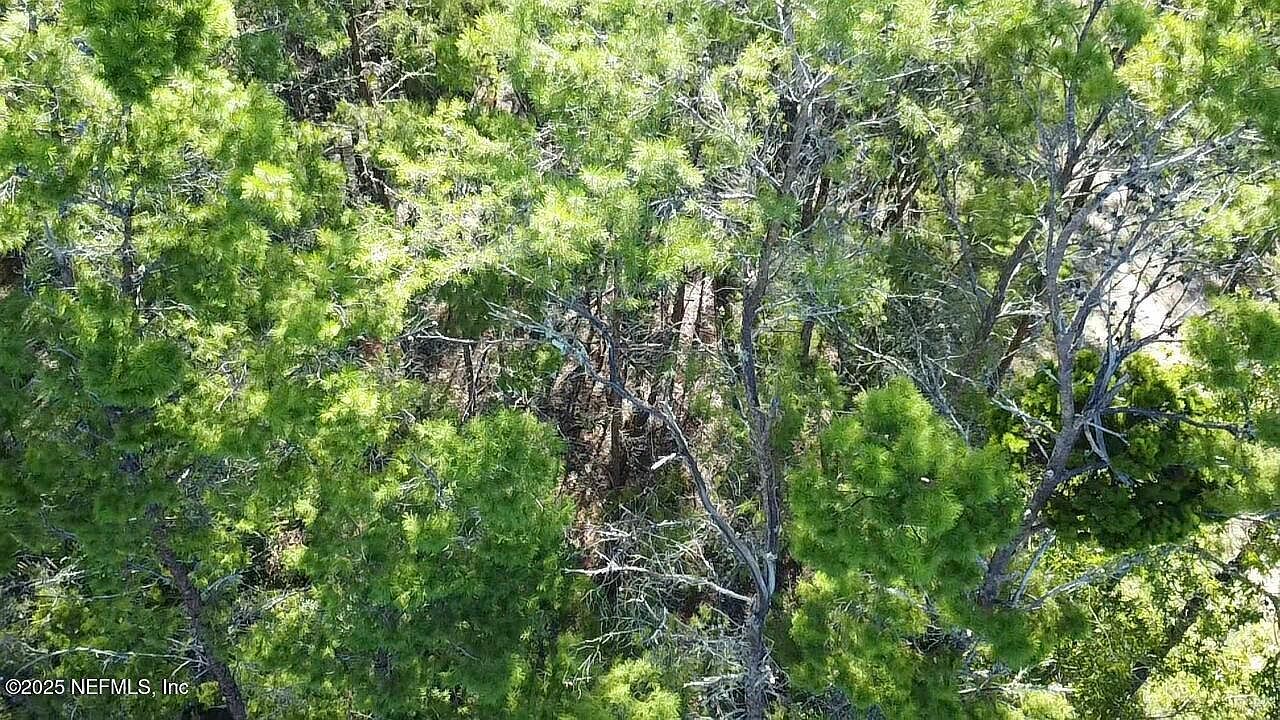 0 Hankley Lake Trl Hawthorne, FL 32640 | Land/Lot