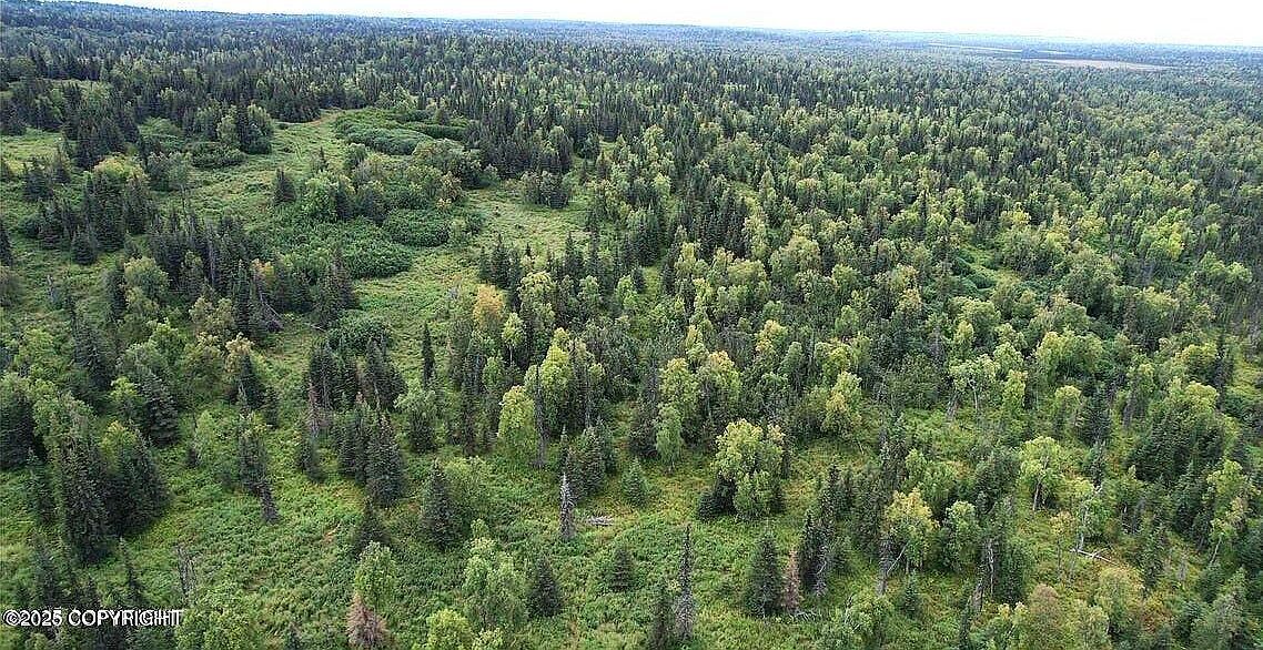 14449 Murry St Ninilchik, AK 99639  | Land/Lot