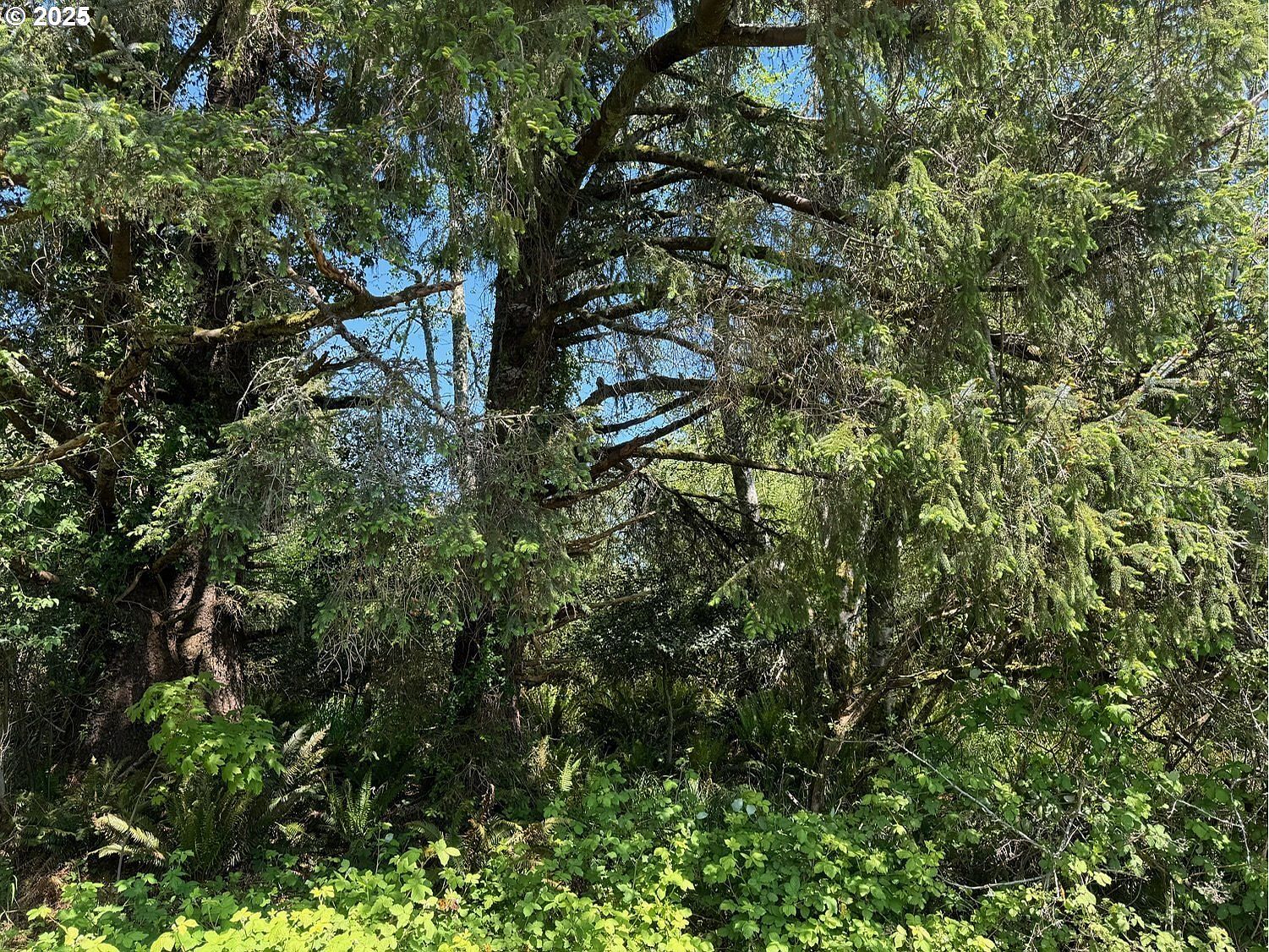 NW Warrenton Dr Warrenton, OR 97146  | Land/Lot