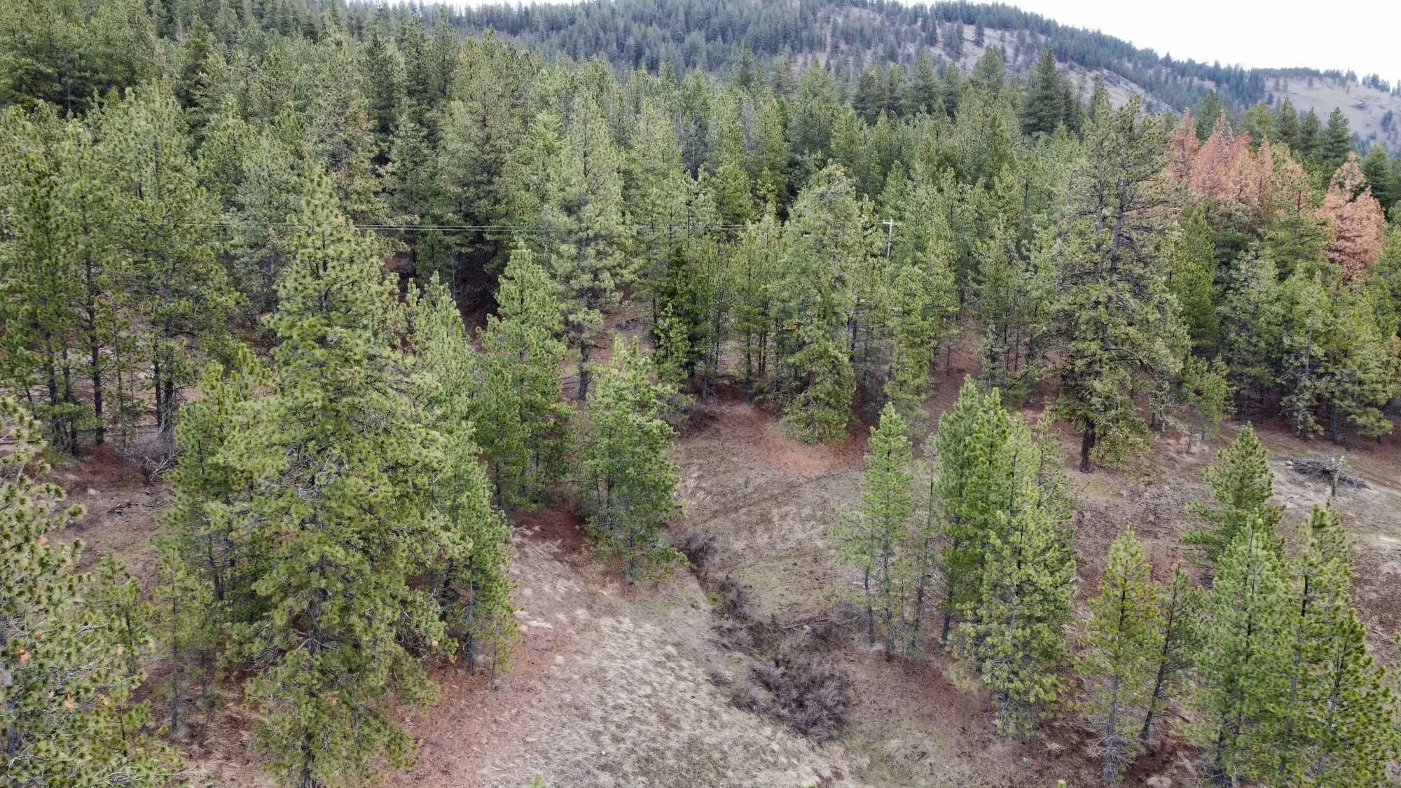 East Holiday Road, Harrison, 83833  | Land/Lot