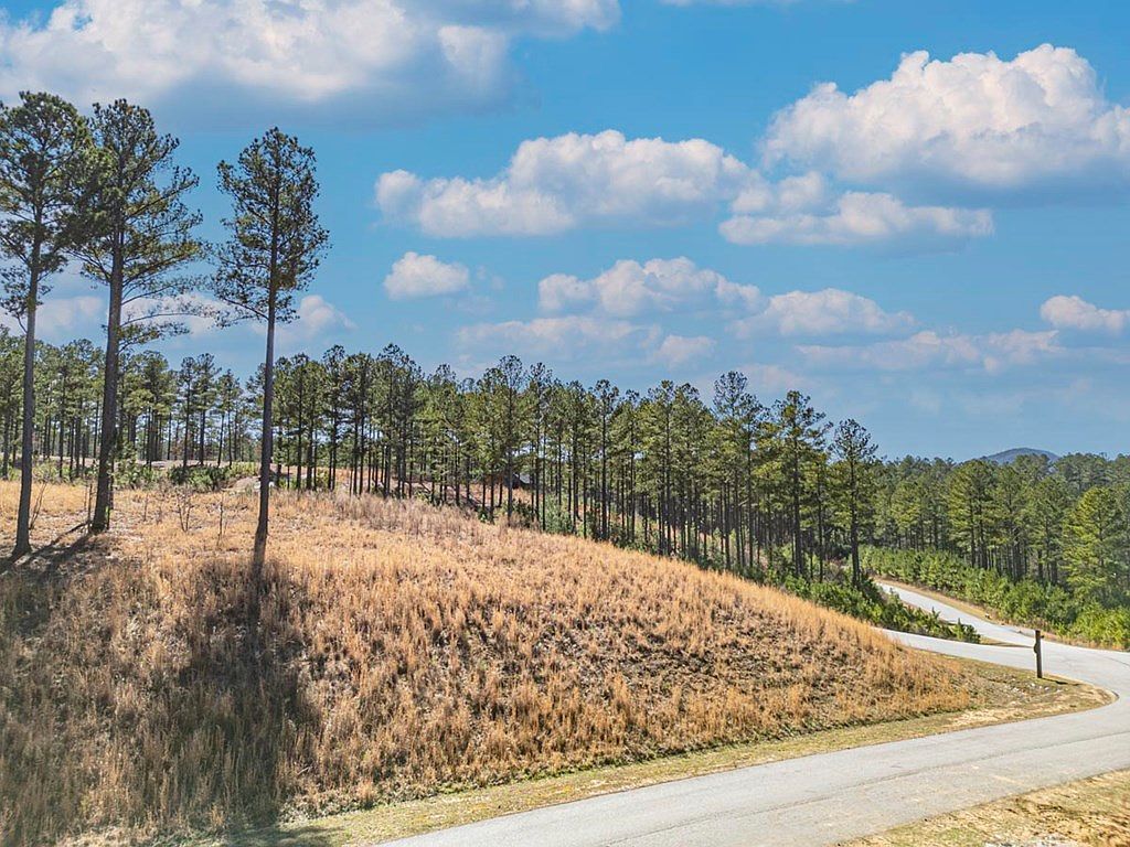 0 Loop Ln Blairsville, GA 30512 | Land/Lot