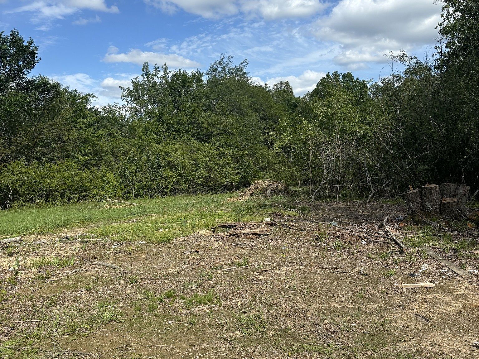 650 Daisy Cir Cumberland Furnace, TN 37051  | Single Family