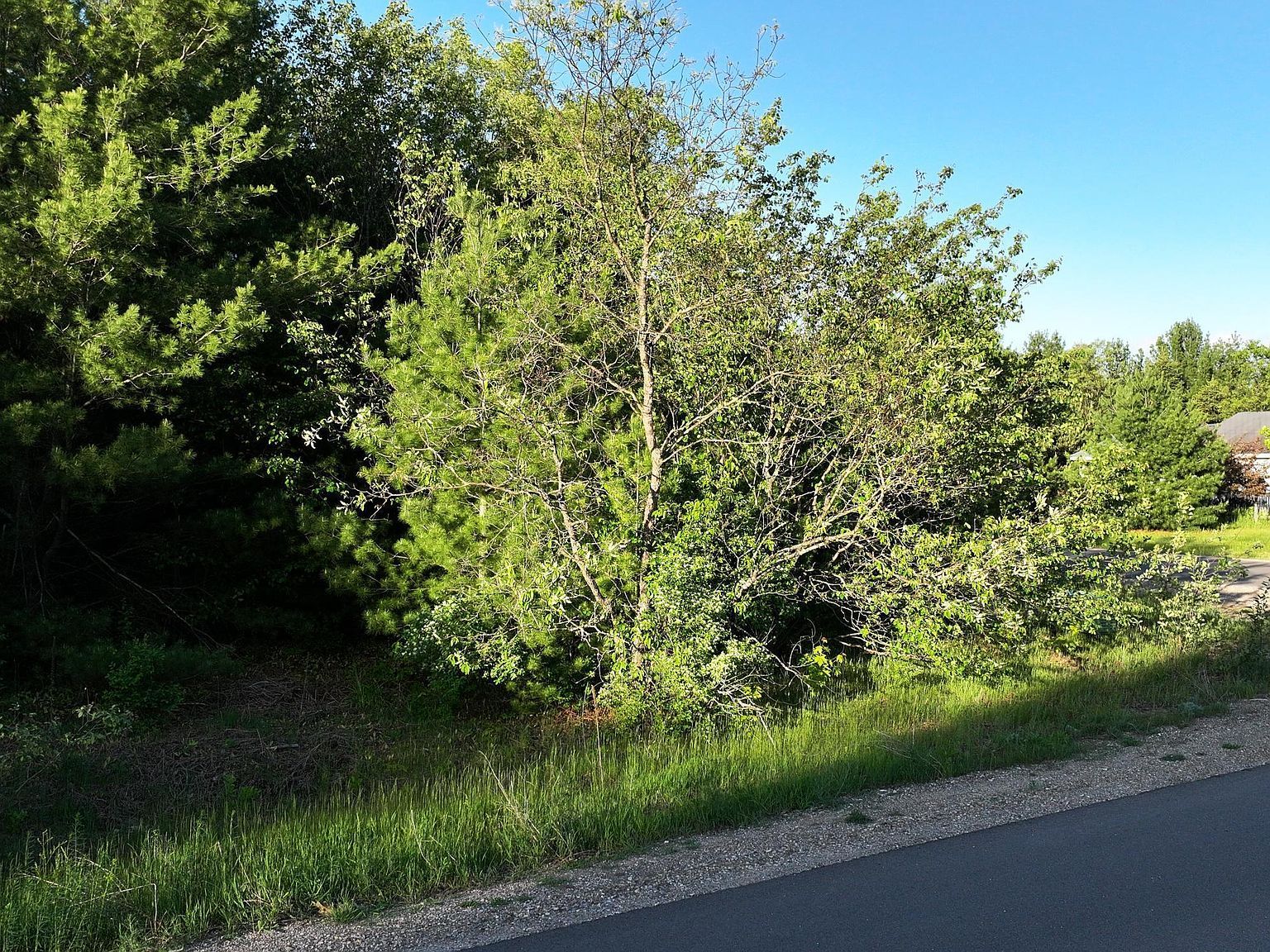 LOT 116 Altorf Strasse Gaylord, MI 49735  | Land/Lot