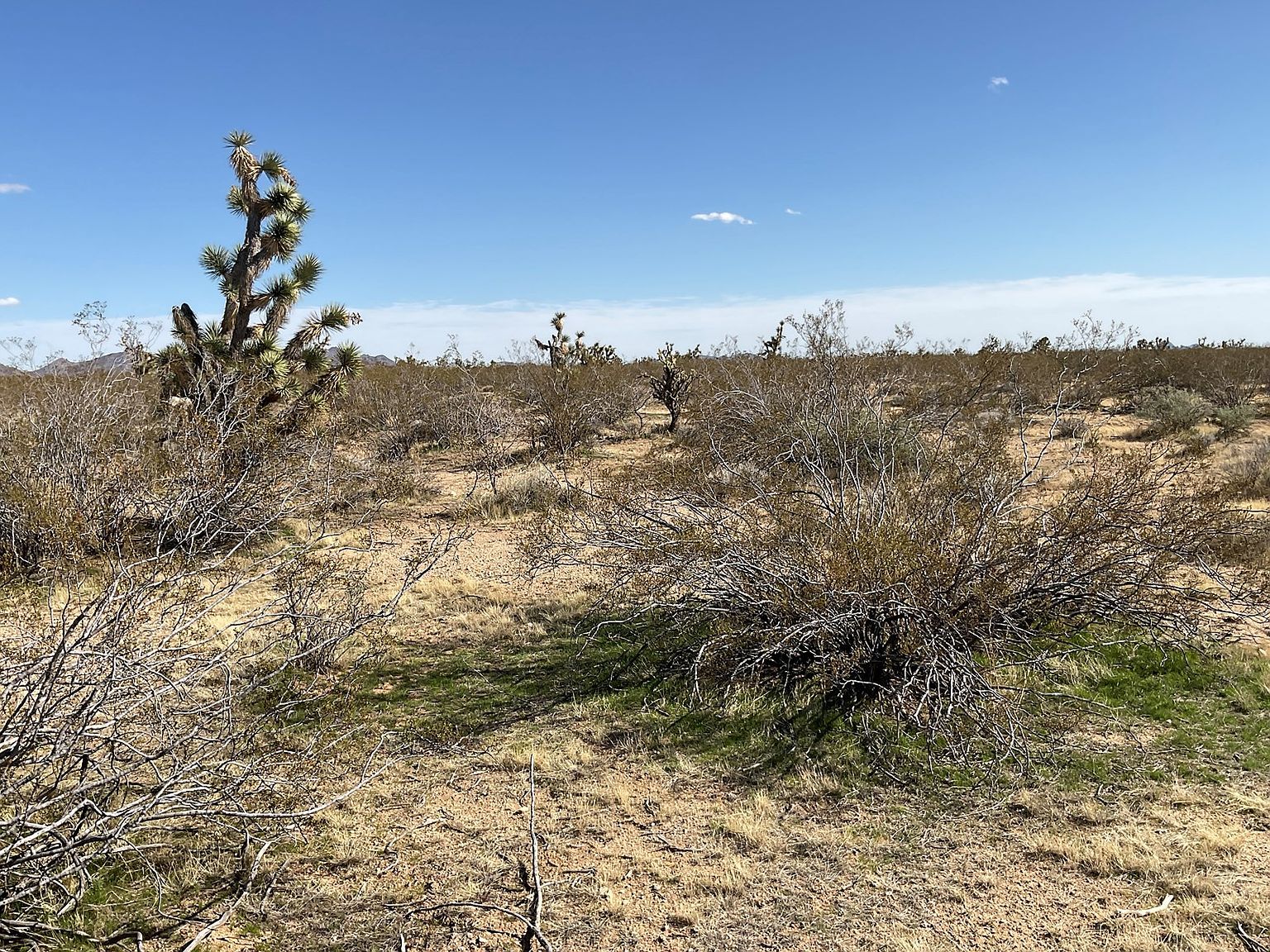 E Red Barrel Dr Yucca, AZ 86438  | Land/Lot