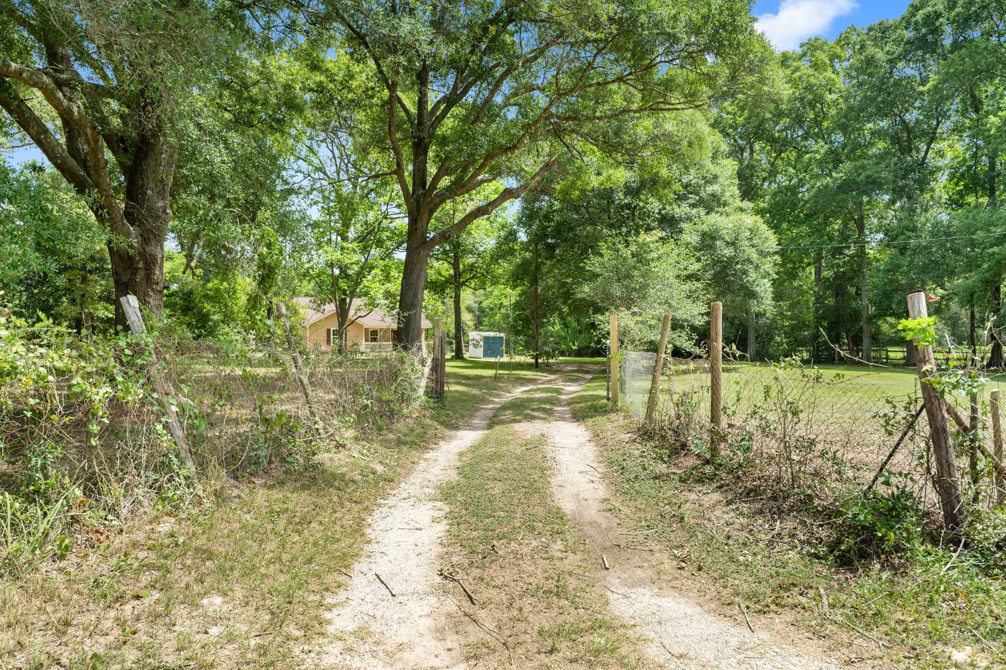 26251 Magnolia Drive, Splendora, TX, USA, 77372  | Single Family