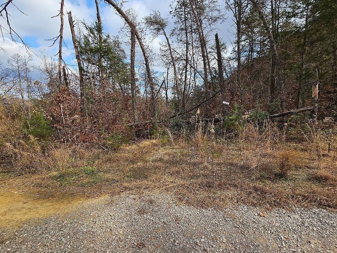 84AC Tiny Homes Ln Thorn Hill, TN 37881  | Land/Lot