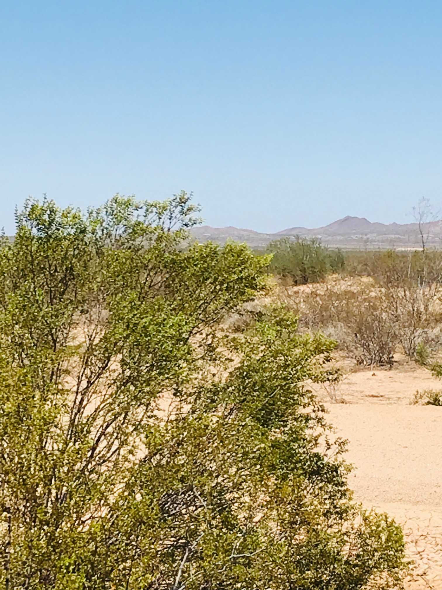 525 S Butch Cassidy Rd, Yucca, AZ, USA, 86438  | Land/Lot
