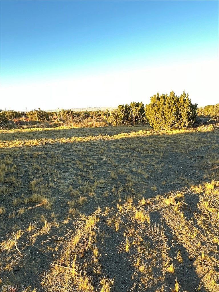 0 Elsinore Rd Pinon Hills, CA 92372  | Land/Lot