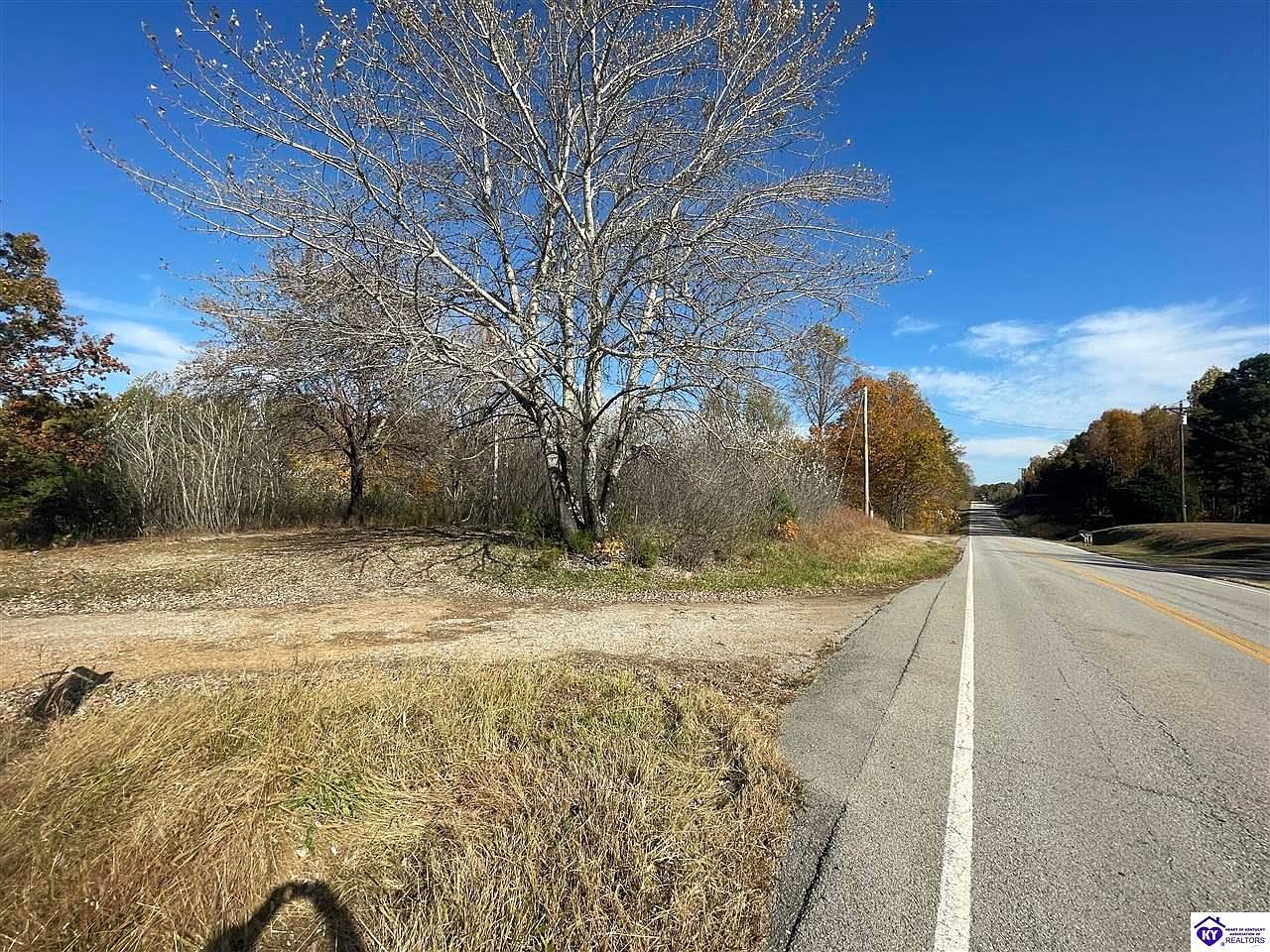 Morgantown Rd Caneyville, KY 42721  | Land/Lot