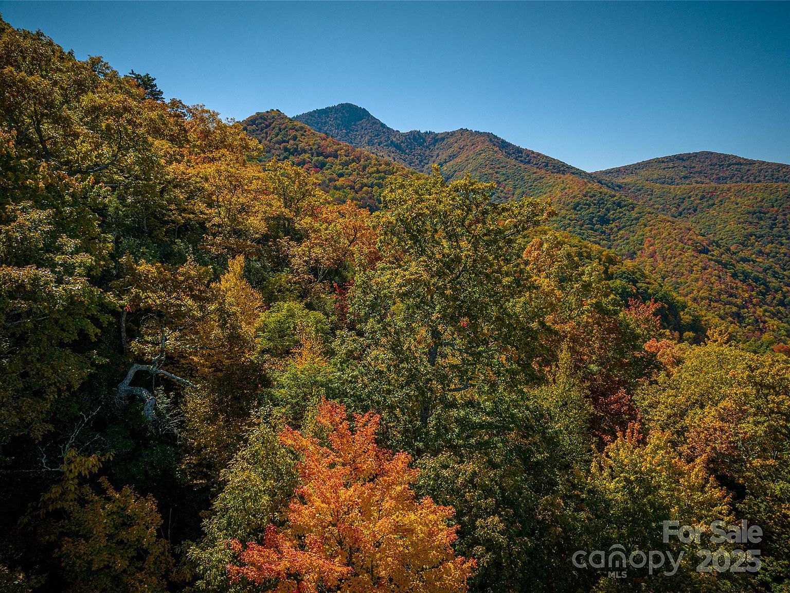 40&41 Falcon Crest Loop Waynesville, NC 28786 | Land/Lot