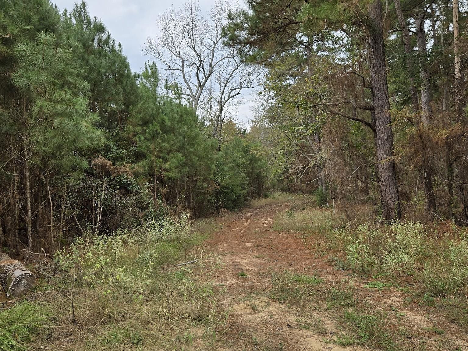 0 County Road 474 Price, TX 75687  | Land/Lot