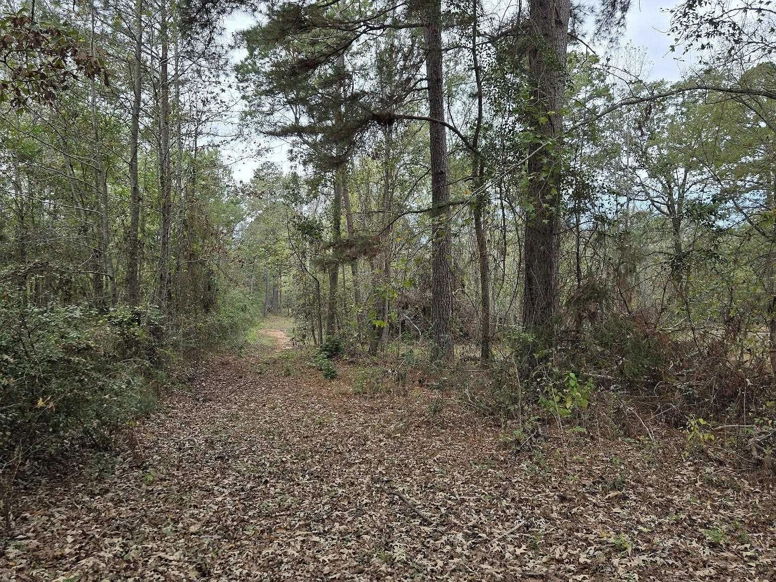 0 County Road 474 W, Henderson, TX, 75654 | Land/Lot