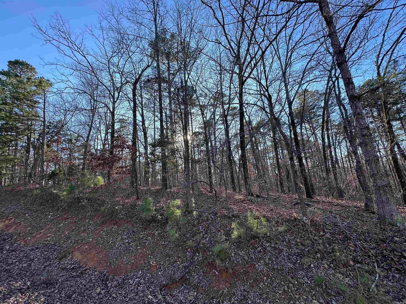 0 Miller Point Rd N Quitman, AR 72131  | Land/Lot