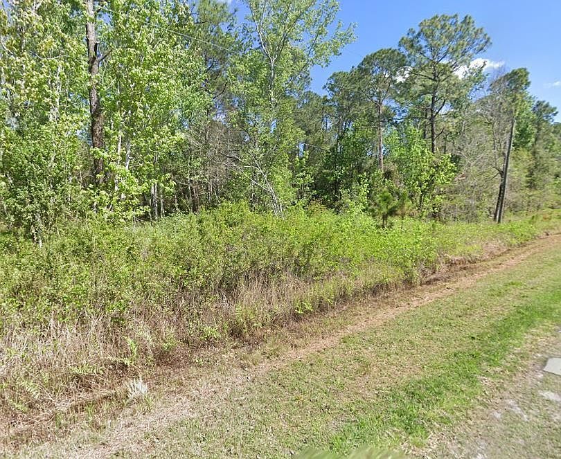210 Redwood Blvd Georgetown, FL 32139  | Land/Lot