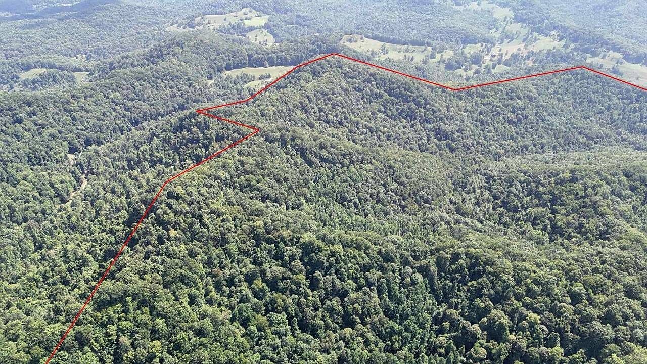 Wilsie Rd Frametown, WV 26623  | Land/Lot