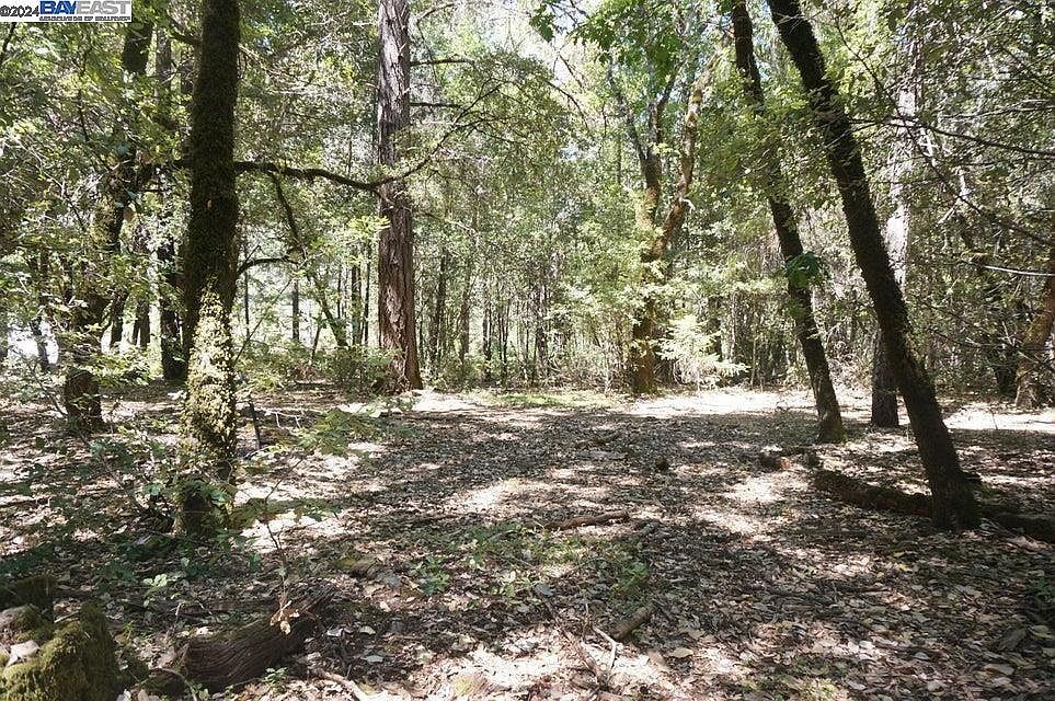 800 Suzy Q Rd Salyer, CA 95563  | Land/Lot