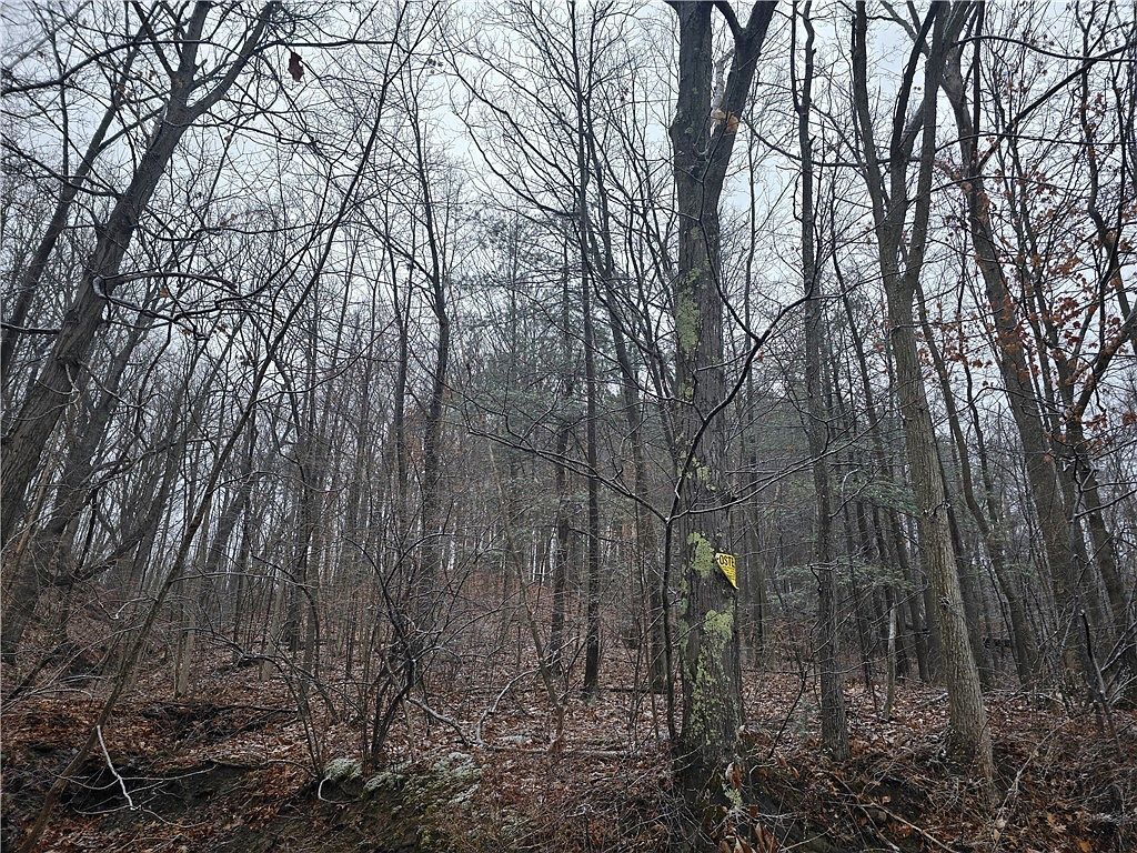 0 Warren Rd #9 Middlesex, NY 14507 | Land/Lot