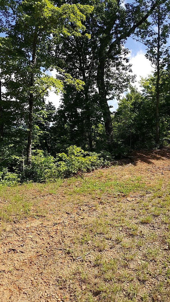 LOT 22 Tyler Rdg Murphy, NC 28906  | Land/Lot