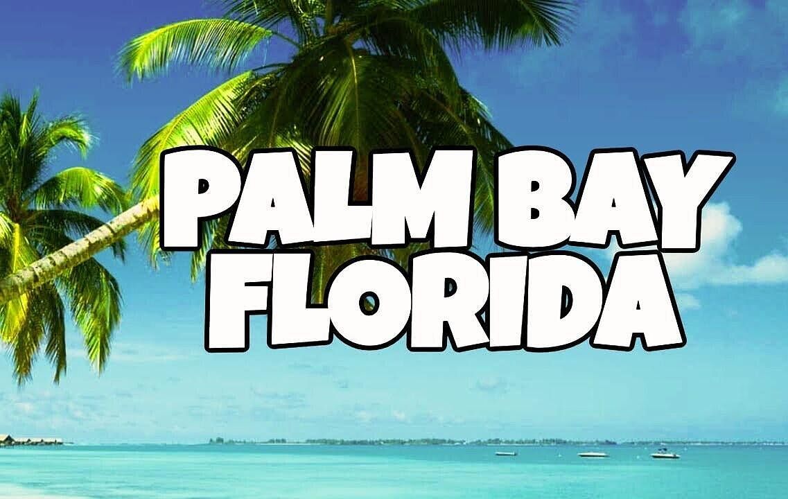 861 Boca Chica St SW Palm Bay, FL 32908  | Land/Lot