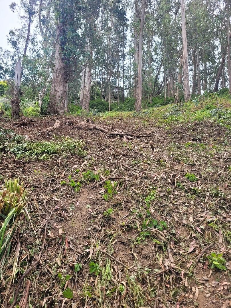 0 Avenue Portola El Granada, CA 94018  | Land/Lot