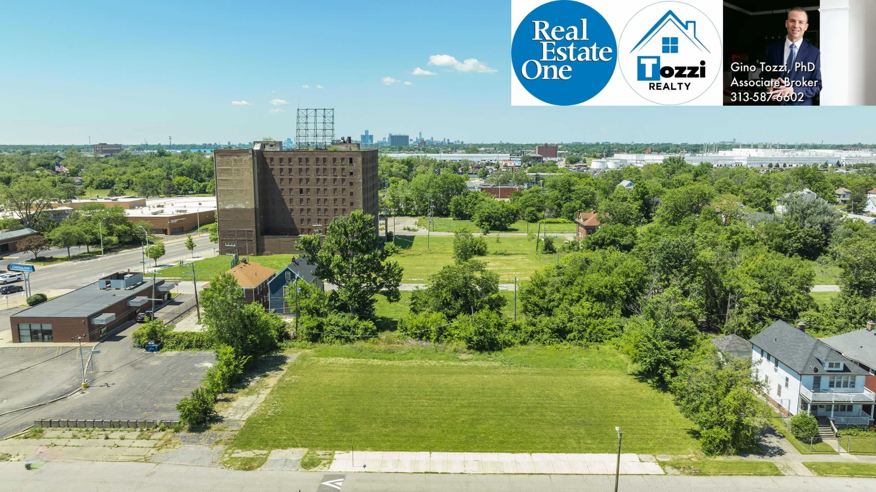 1075 Coplin Street, Detroit, MI, USA, 48215 - Thumbnail 2