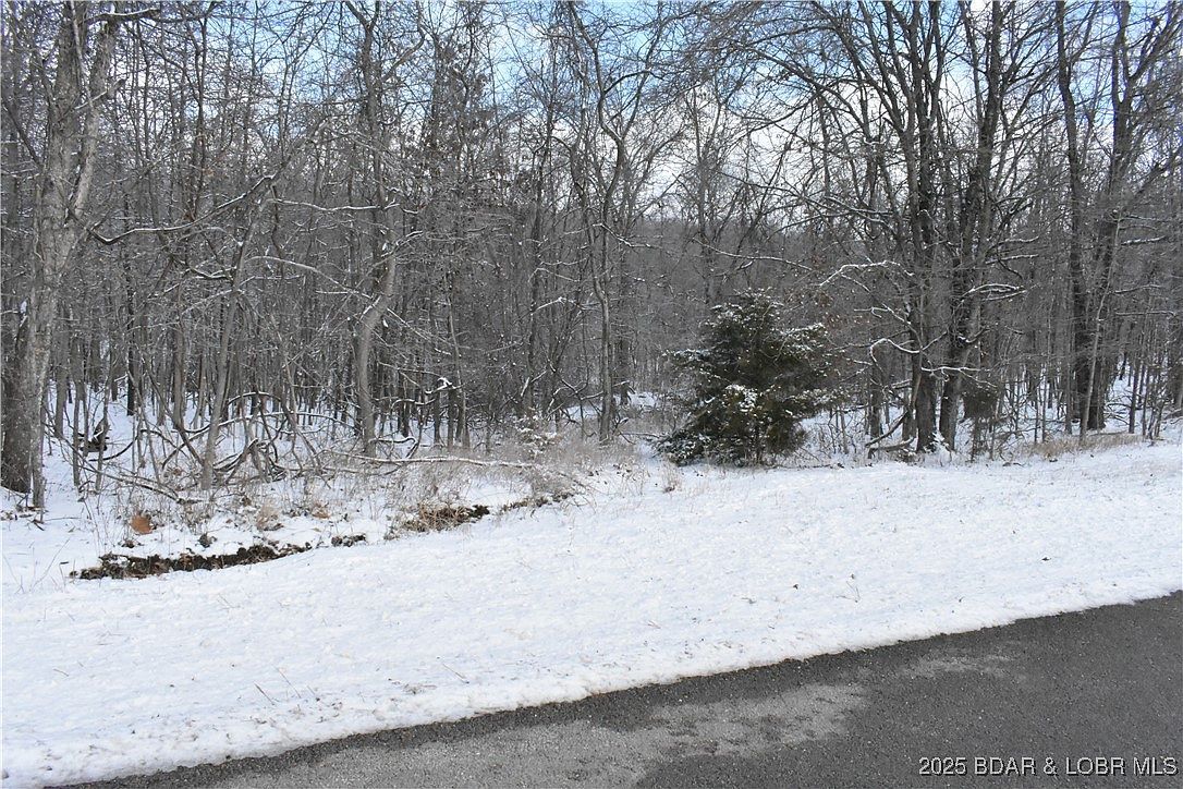 LOT 20 Oak Point Dr Gravois Mills, MO 65037  | Land/Lot