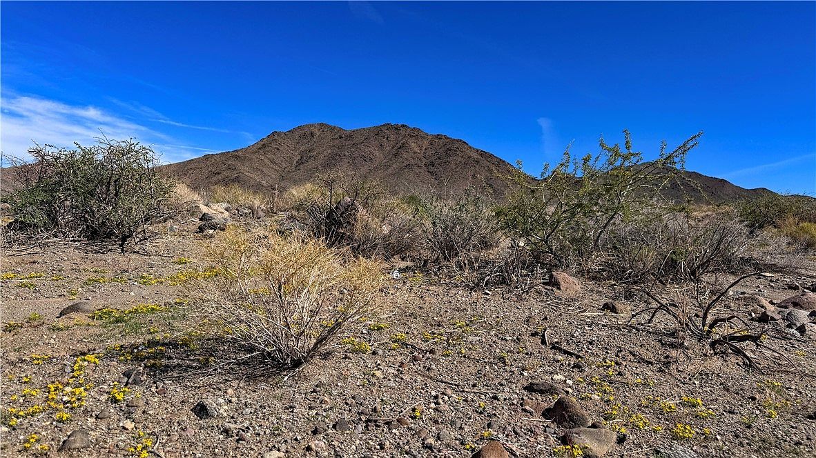 0 N Ivy Dr Dolan Springs, AZ 86441  | Land/Lot