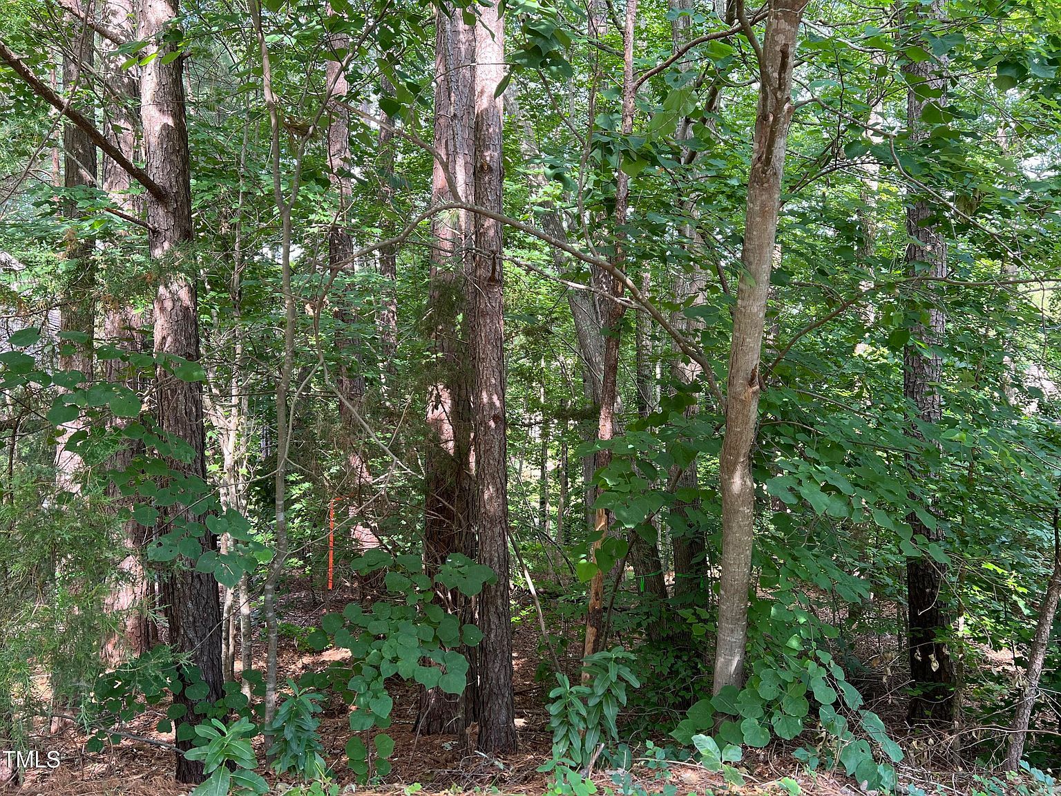 19102 Stone Brk #1002 Chapel Hill, NC 27517  | Land/Lot