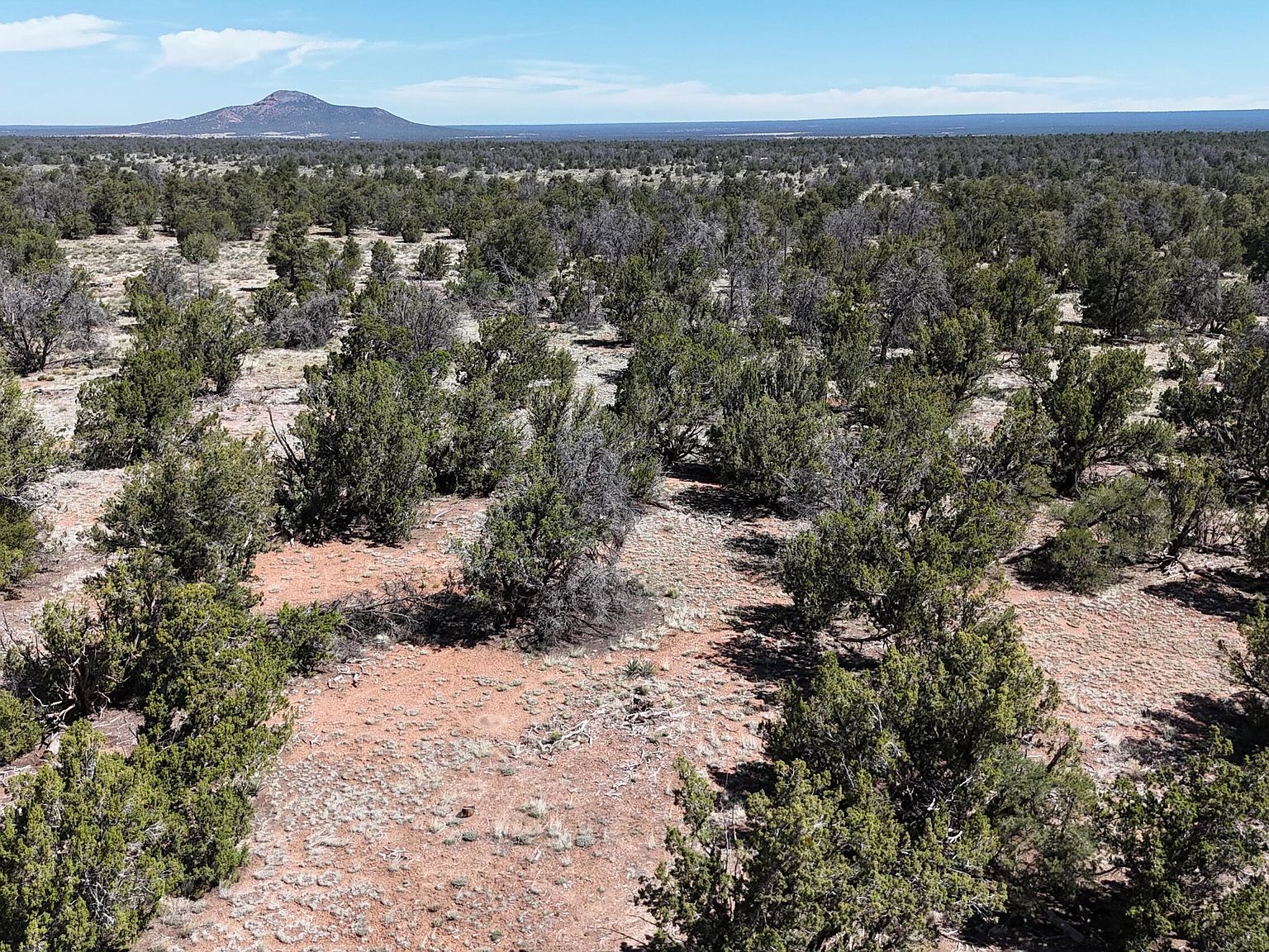 4813 E Woodland Ranch Rd Williams, AZ 86046  | Land/Lot