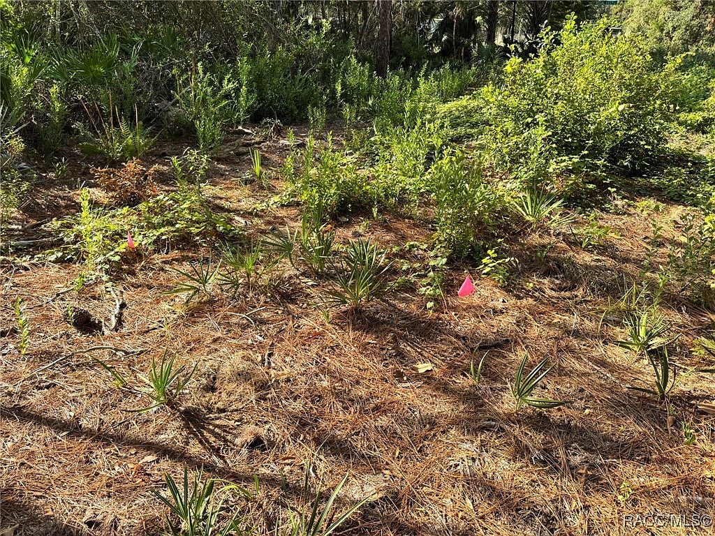 7897 W Stuart Ln Homosassa, FL 34448 | Land/Lot