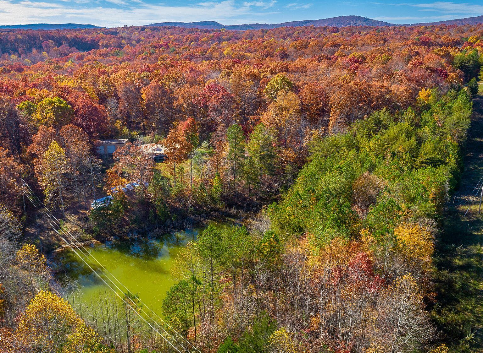 450 Hickory Rd Spring City, TN 37381  | Single Family