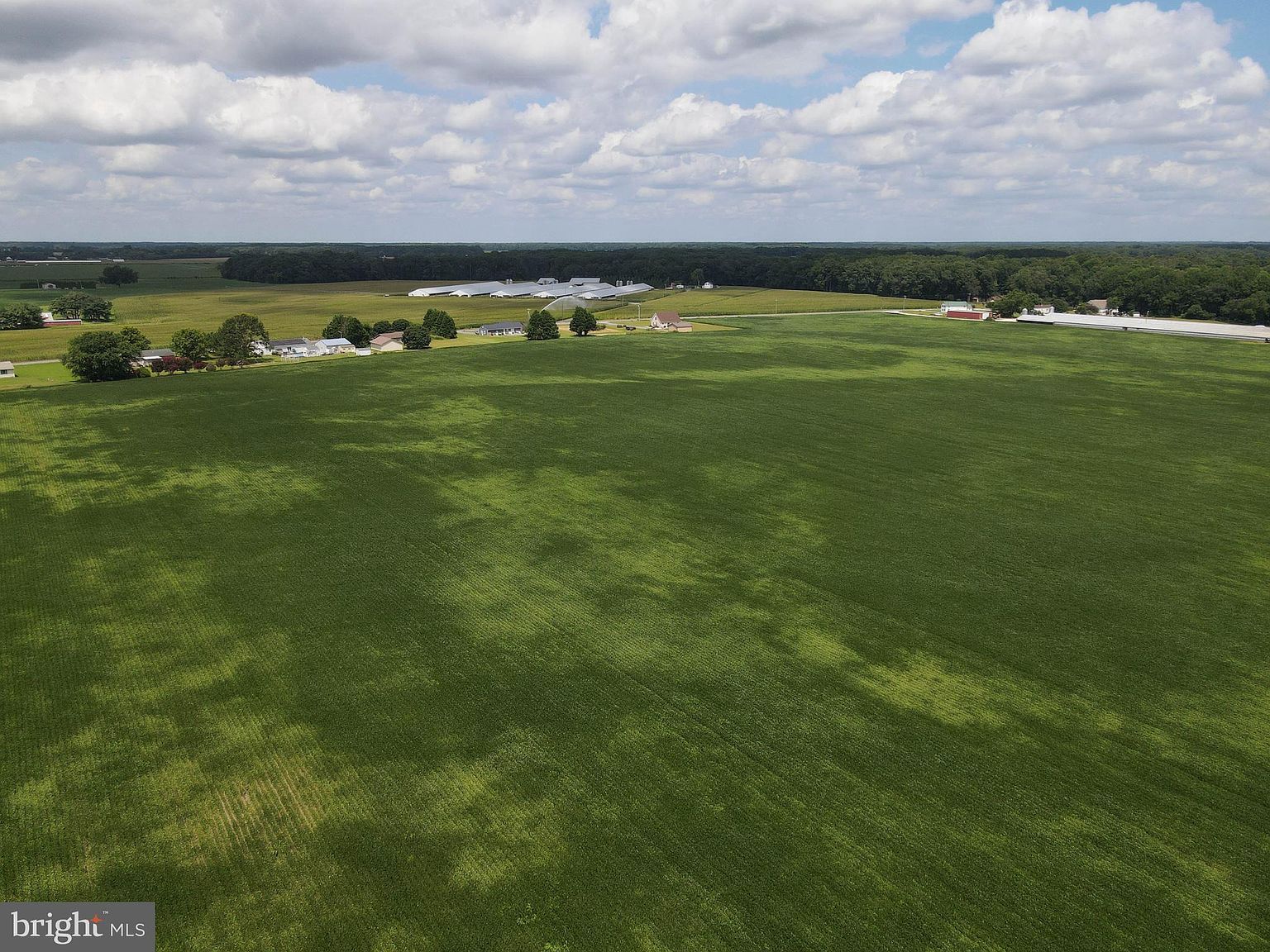 LOT 2 Woodland Ferry Rd Seaford, DE 19973  | Land/Lot