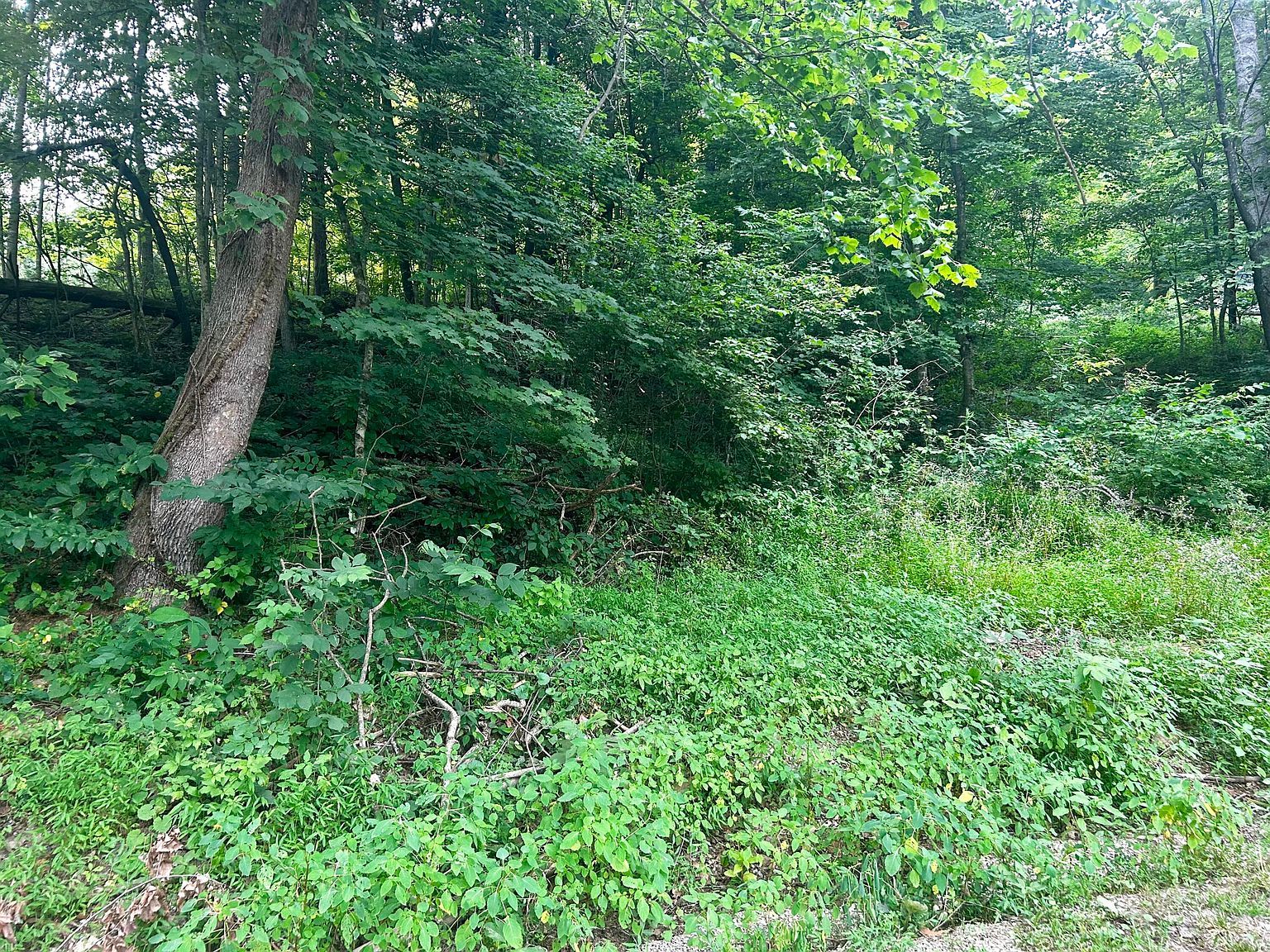 6270 Highway 192 Somerset, KY 42501  | Land/Lot
