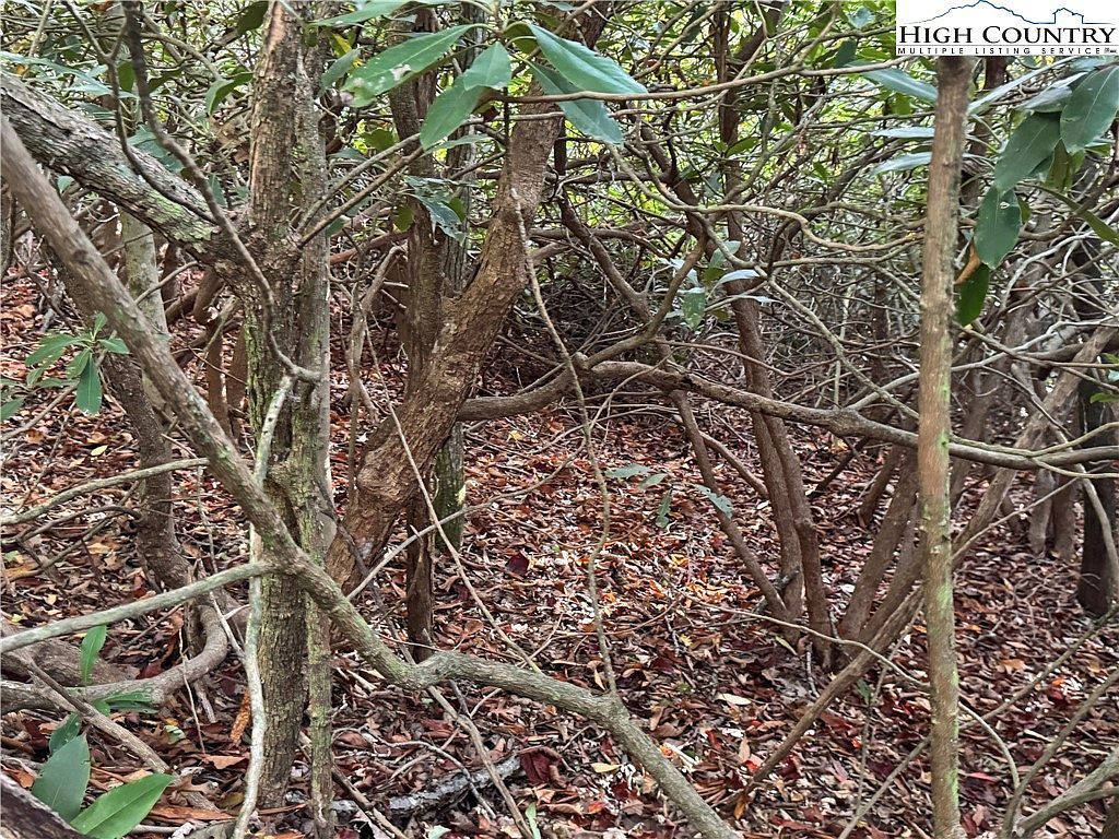 Farview Ln, Newland, NC, 28657  | Land/Lot