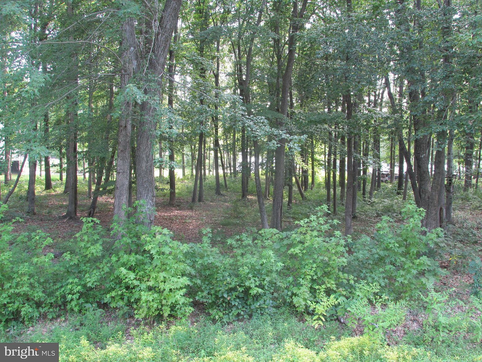 Blue Sky Way Bumpass, VA 23024  | Land/Lot