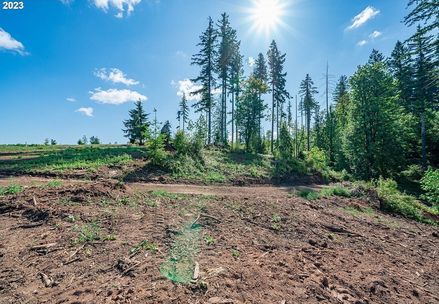 0 Silver Lake Rd UNIT 1 Castle Rock, WA 98611 | Land/Lot