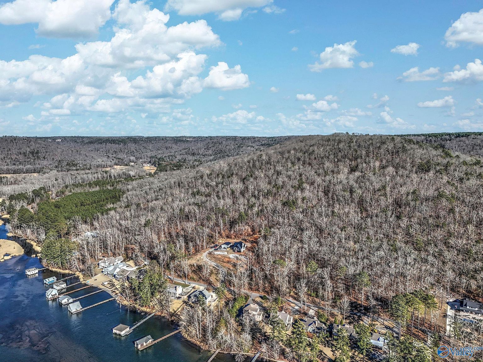 5 White Elephant Rd Grant, AL 35747  | Land/Lot