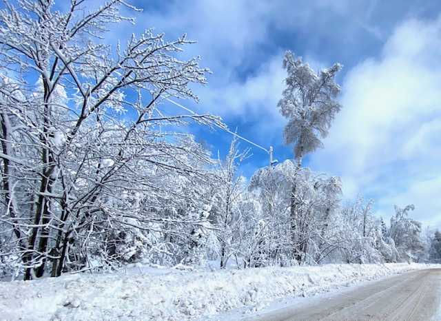 TBD Herritage Dr., Negaunee, MI, 49866  | Land/Lot